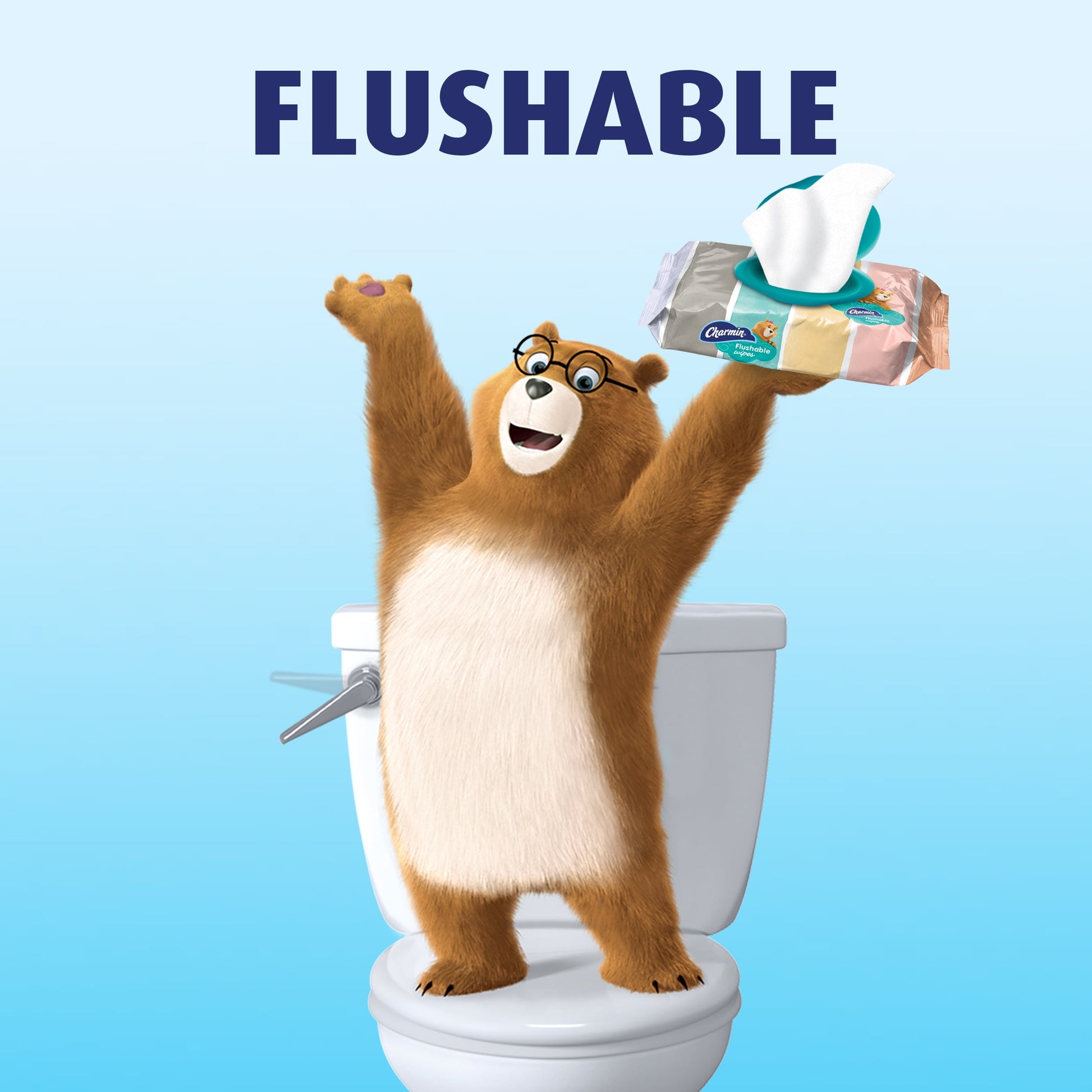 Flushable Wipes, 4 Packs, 40 Wipes per Pack, 160 Total Wipes