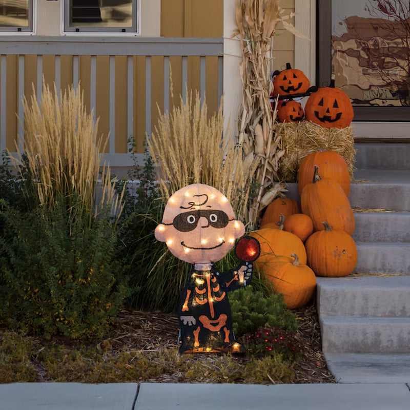 1.51-Ft Yard Stake Lighted Peanuts Worldwide Peanuts Charlie Brown Skeleton Yard Decoration