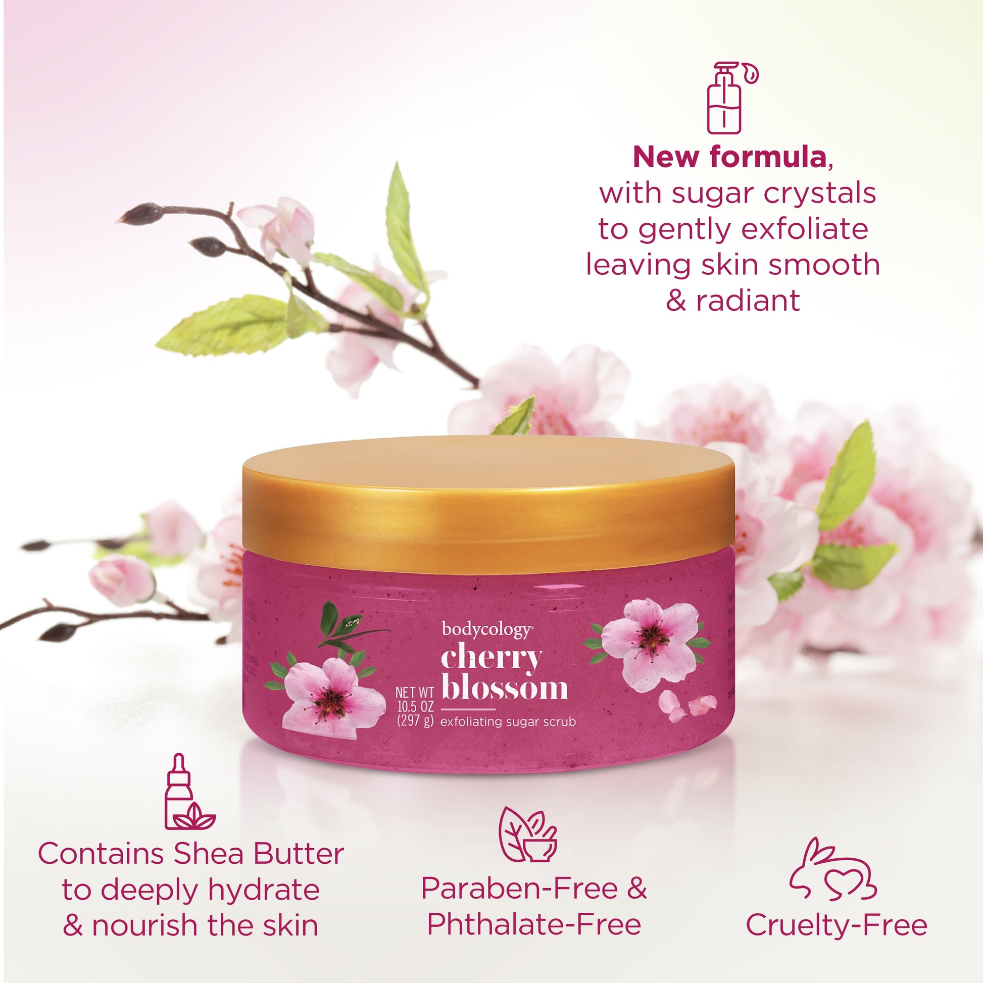 Exfoliating Sugar Scrub, Cherry Blossom, 10.5 Oz